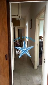 Lido di Camaiore appartamento 300 metri dal mare : appartamento In vendita  Lido di Camaiore